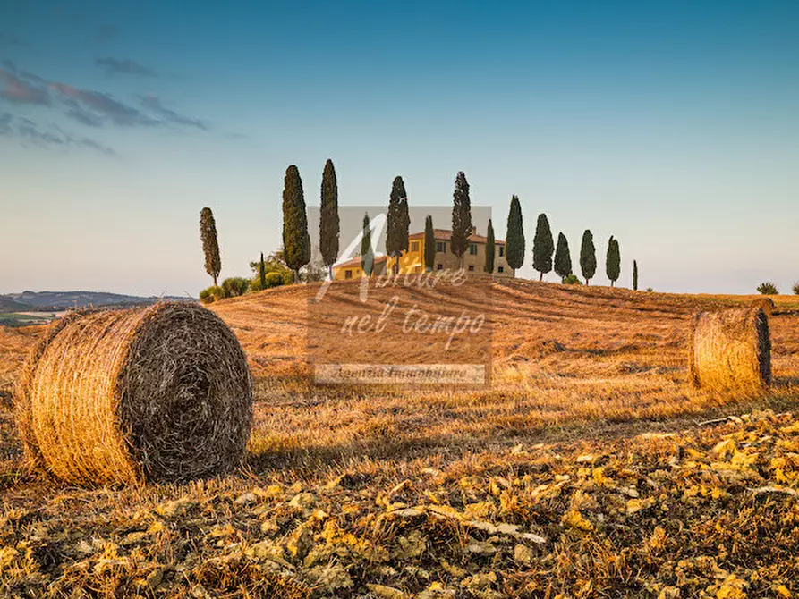 Immagine 1 di Terreno in vendita  in bassanese inferiore a Pozzoleone