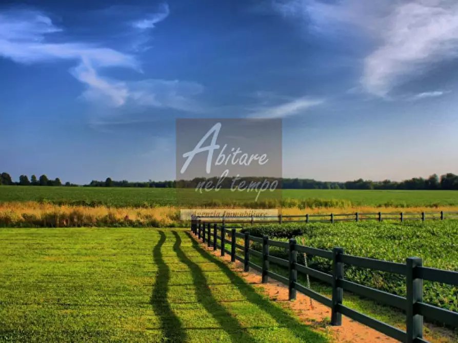 Immagine 12 di Terreno in vendita  in VIA SANTA MARGERITA a Tombolo