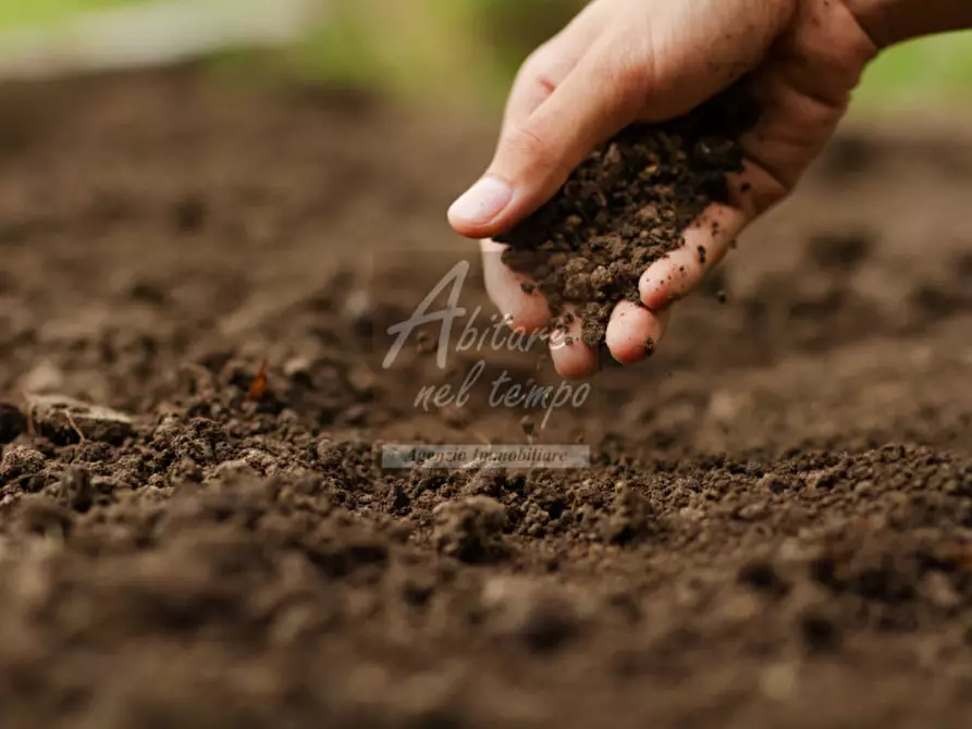 Immagine 21 di Terreno in vendita  in VIA SANTA MARGERITA a Tombolo