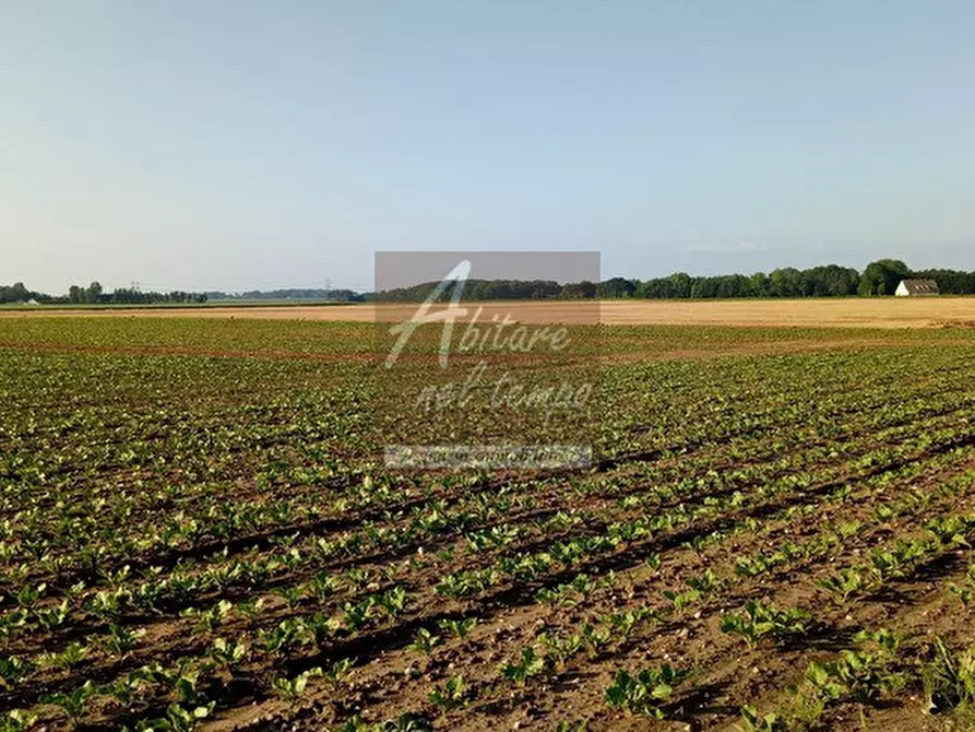 Immagine 22 di Terreno in vendita  in VIA SANTA MARGERITA a Tombolo