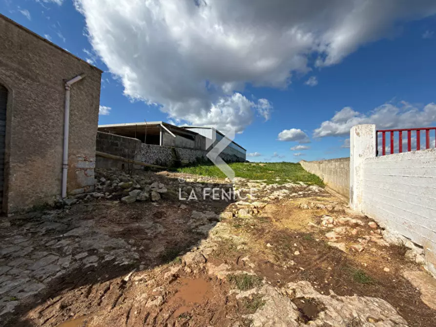 Immagine 61 di Villa in vendita  in Ceglie Messapica a Ceglie Messapico