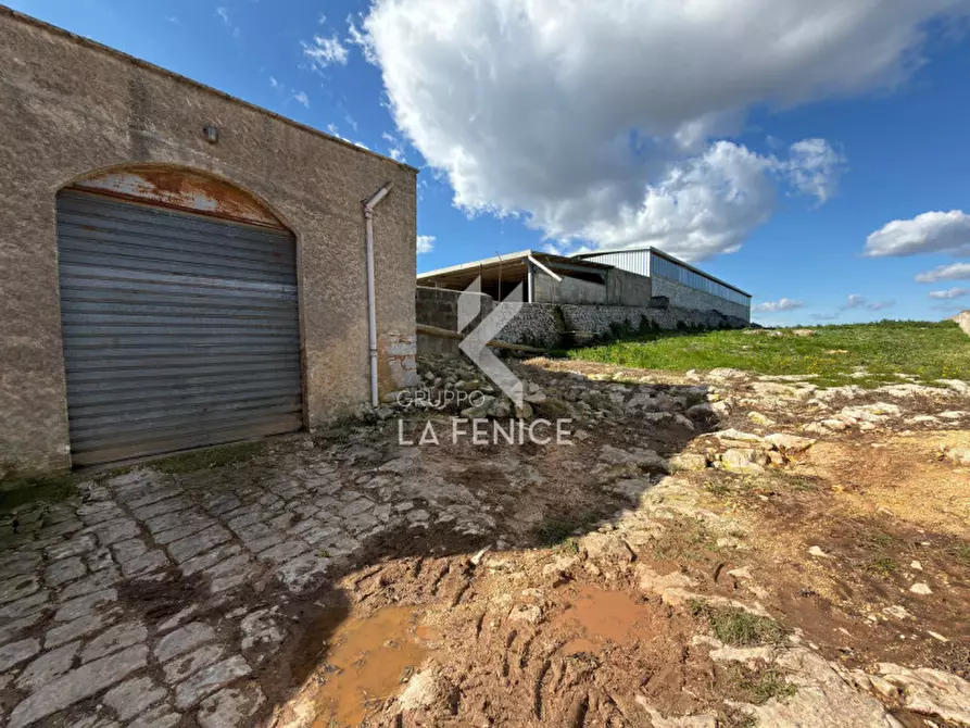 Immagine 62 di Villa in vendita  in Ceglie Messapica a Ceglie Messapico