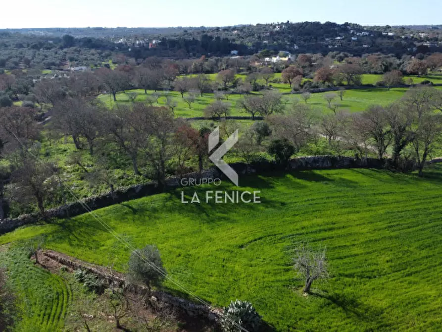 Immagine 76 di Villa in vendita  in Ceglie Messapica a Ceglie Messapico