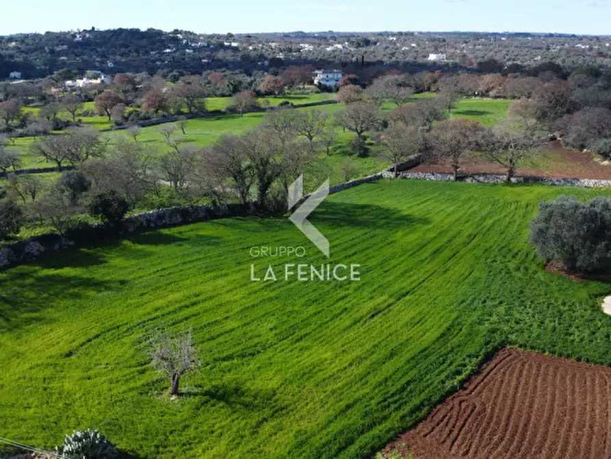 Immagine 77 di Villa in vendita  in Ceglie Messapica a Ceglie Messapico