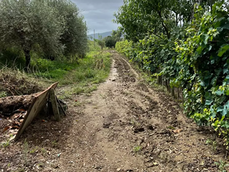 Immagine 1 di Terreno in vendita  a Prato