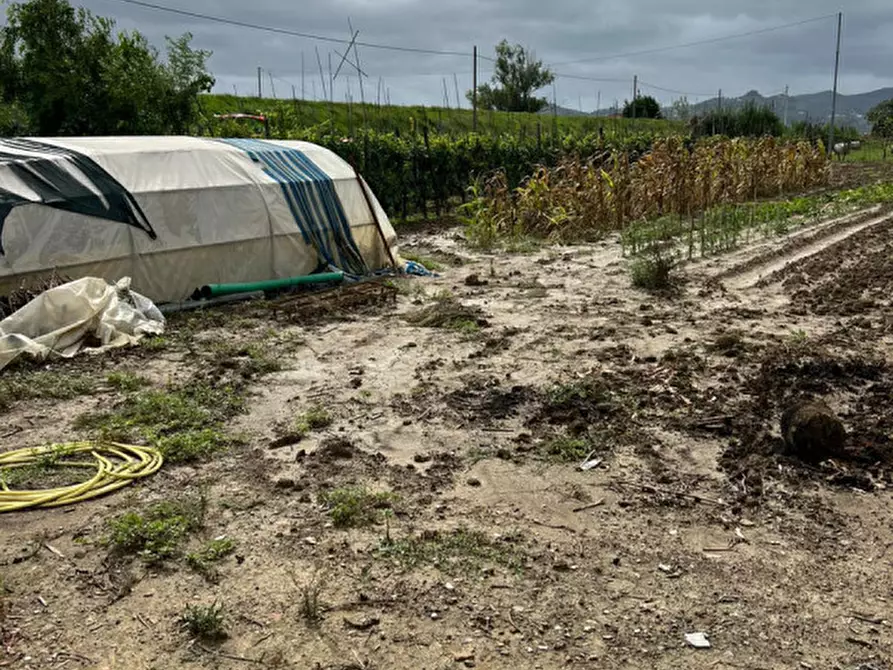 Immagine 2 di Terreno in vendita  a Prato