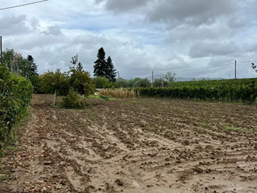 Immagine 5 di Terreno in vendita  a Prato