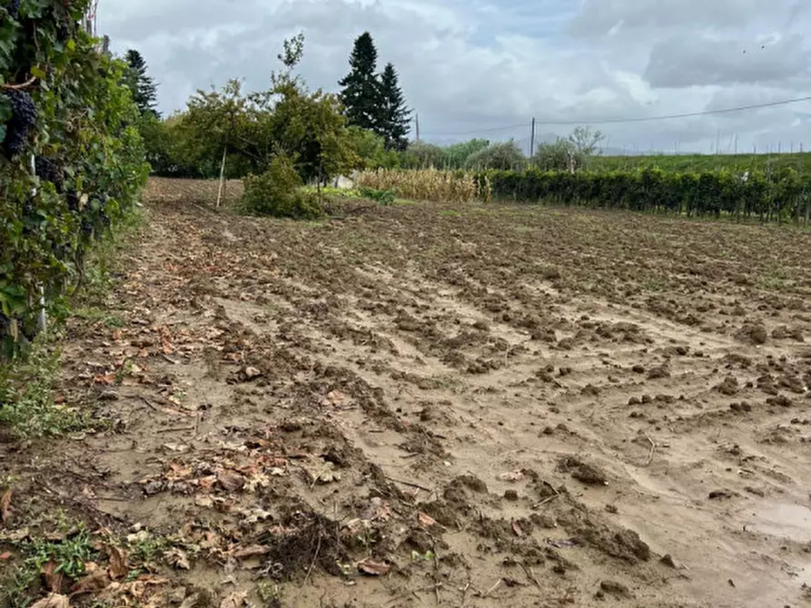 Immagine 7 di Terreno in vendita  a Prato