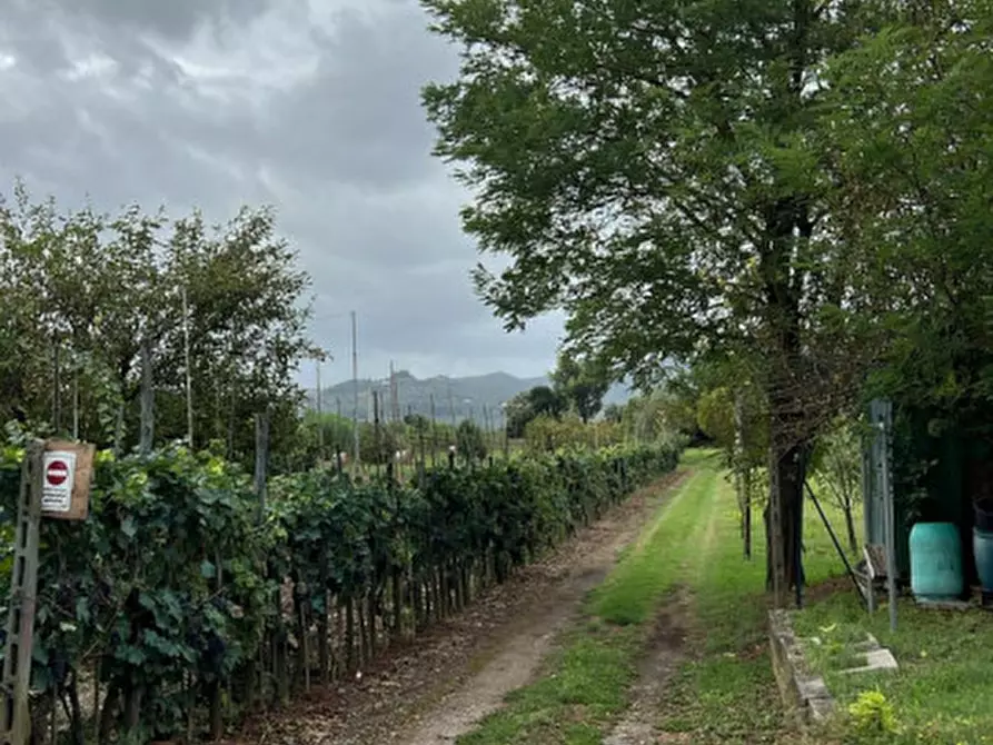 Immagine 9 di Terreno in vendita  a Prato