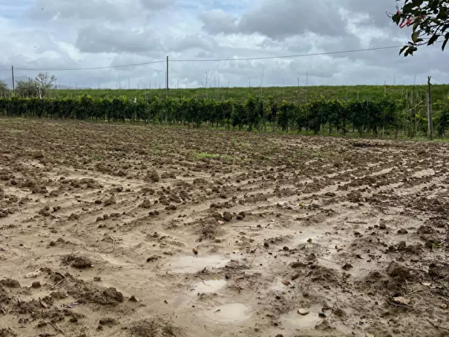 Immagine 10 di Terreno in vendita  a Prato