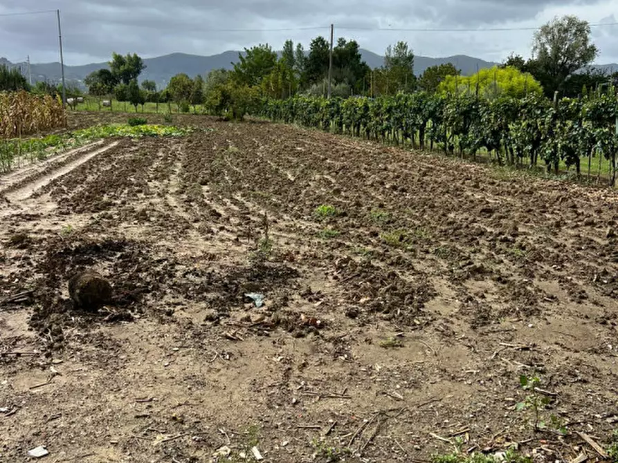 Immagine 11 di Terreno in vendita  a Prato