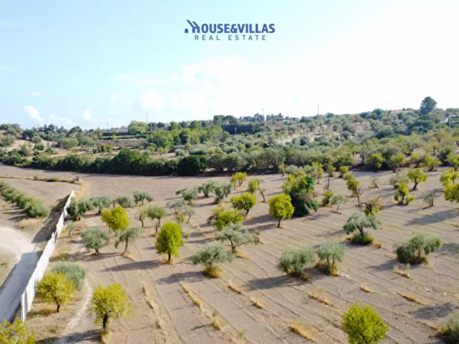 Immagine 4 di Terreno in vendita  in zupparda noto a Noto