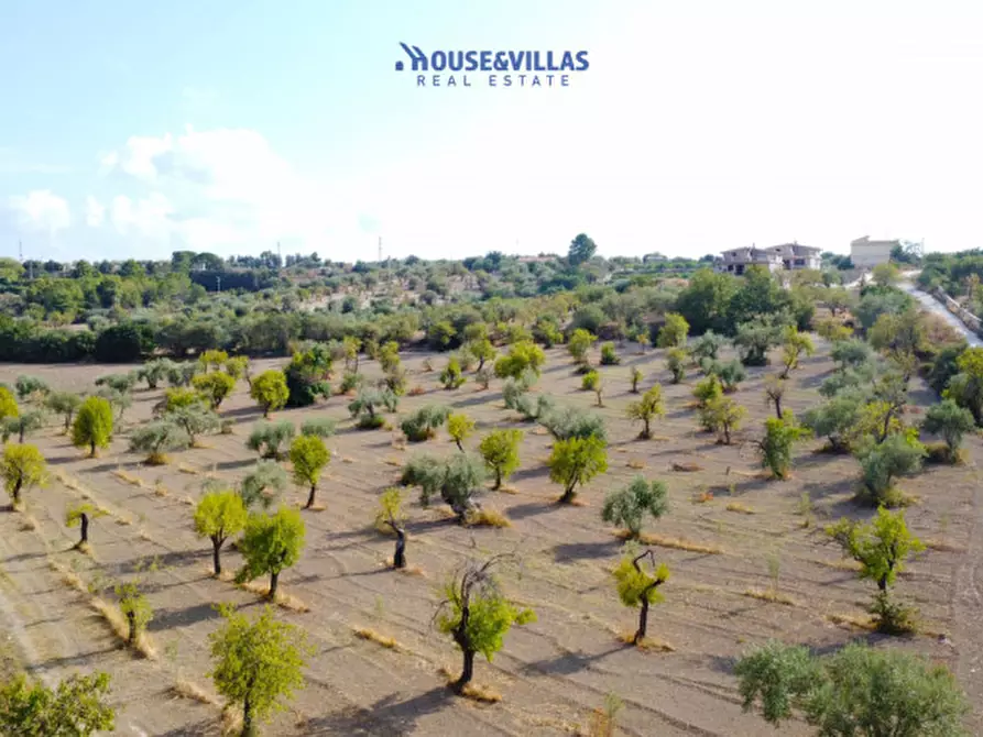 Immagine 5 di Terreno in vendita  in zupparda noto a Noto