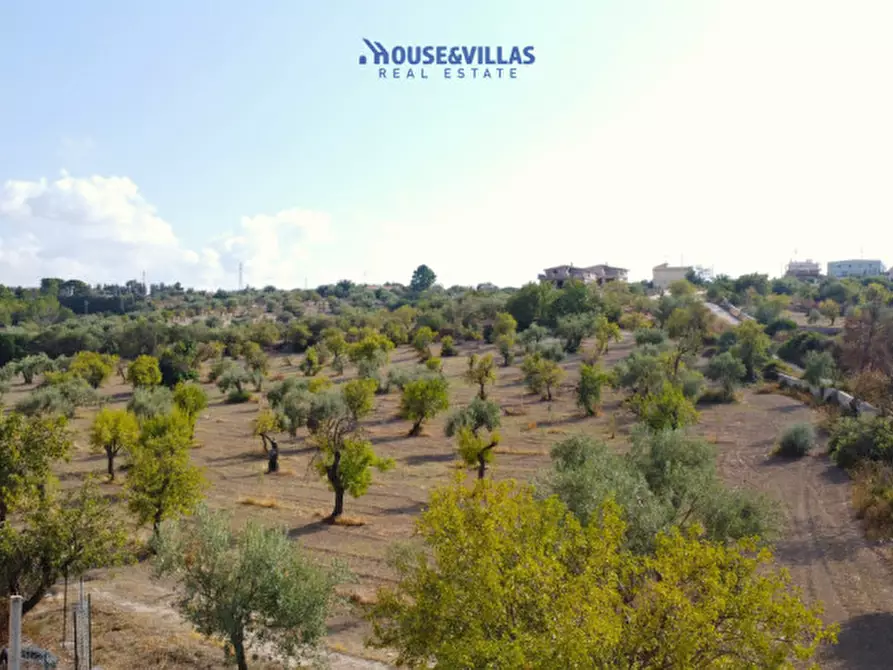 Immagine 6 di Terreno in vendita  in zupparda noto a Noto