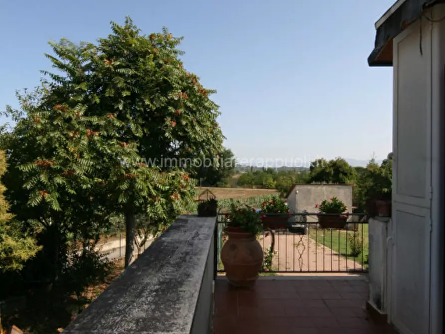 Immagine 18 di Villetta a schiera in vendita  a Torrita Di Siena