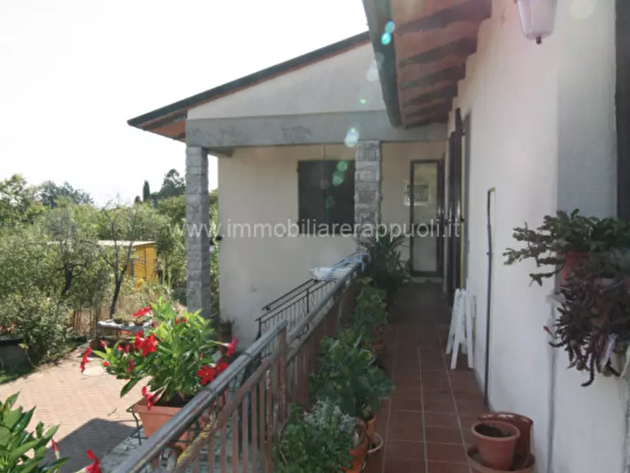 Immagine 20 di Villetta a schiera in vendita  a Torrita Di Siena