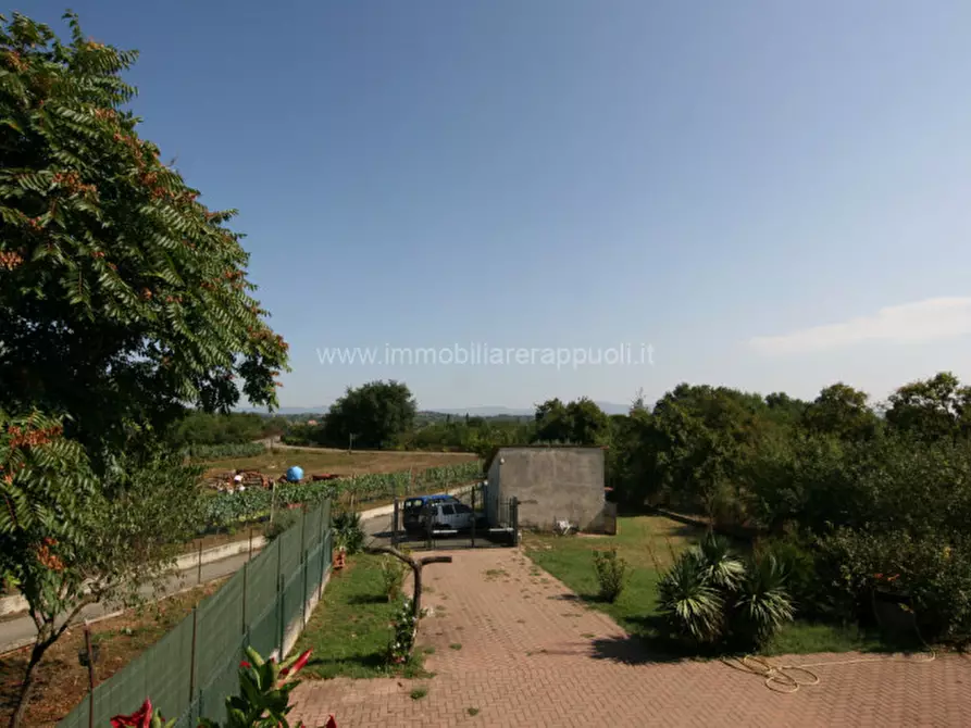 Immagine 21 di Villetta a schiera in vendita  a Torrita Di Siena