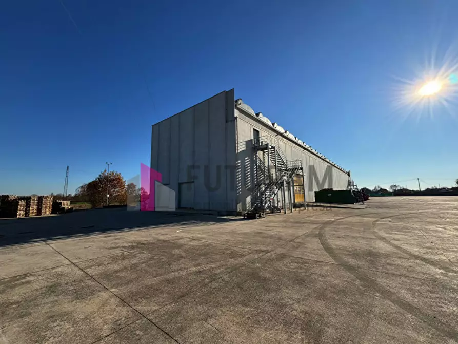 Immagine 2 di Capannone industriale in affitto  in via prandina a Carmignano Di Brenta