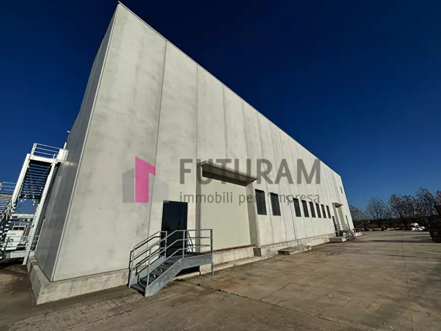 Immagine 3 di Capannone industriale in affitto  in via prandina a Carmignano Di Brenta