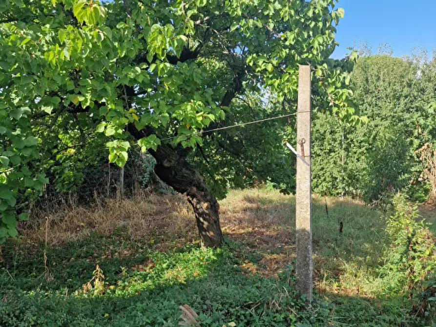 Immagine 26 di Casa indipendente in vendita  a Cortona