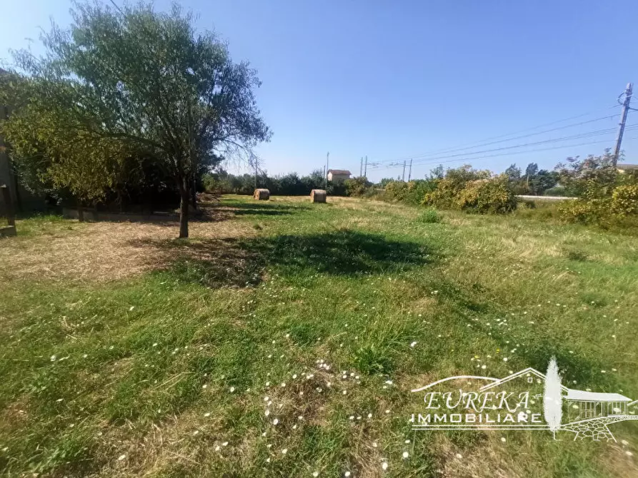 Immagine 14 di Casa indipendente in vendita  in via roma 152 a Castiglione Del Lago