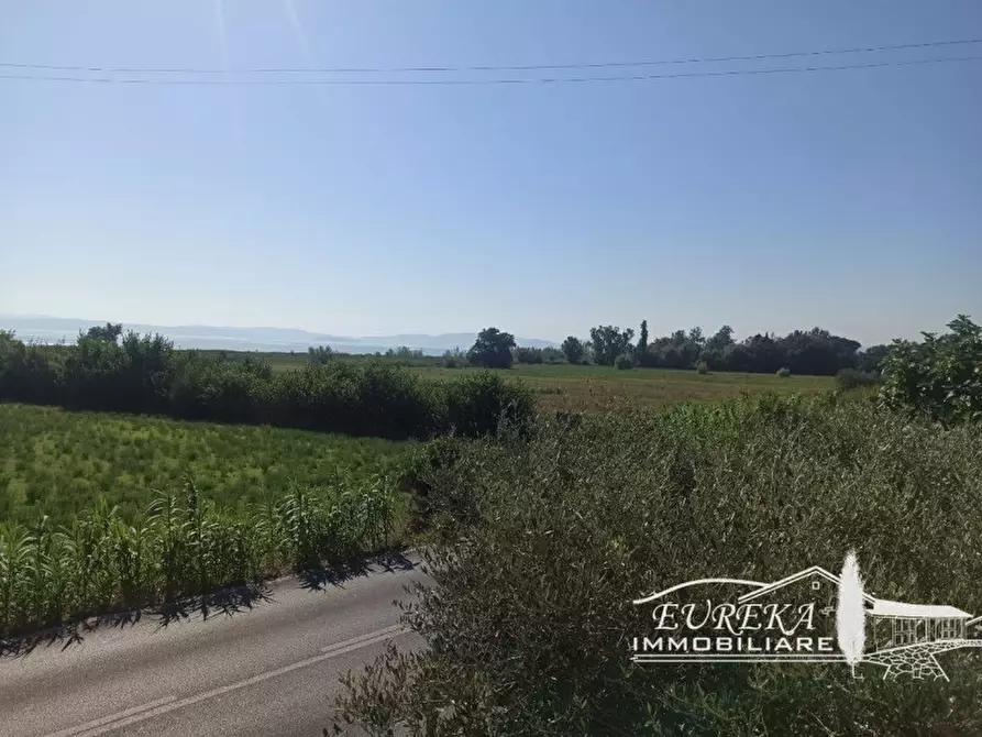 Immagine 20 di Casa indipendente in vendita  in via roma 152 a Castiglione Del Lago