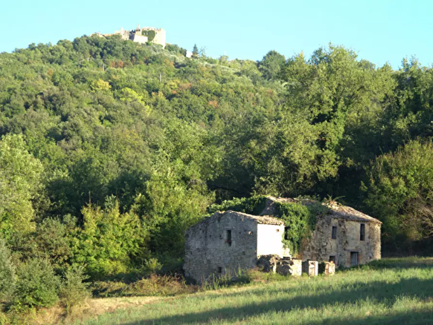 Immagine 1 di Casa indipendente in vendita  a Collazzone