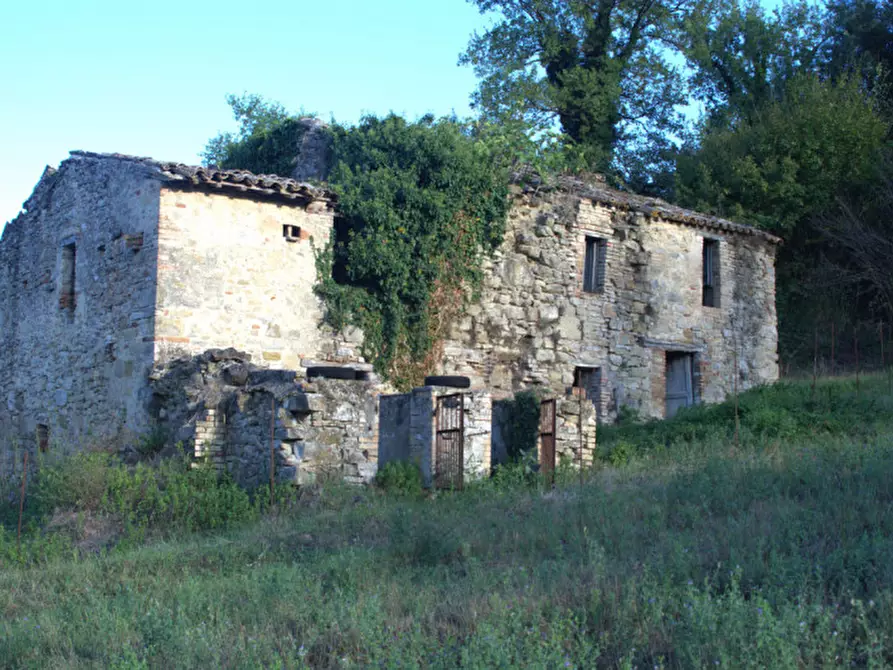 Immagine 1 di Casa indipendente in vendita  a Collazzone