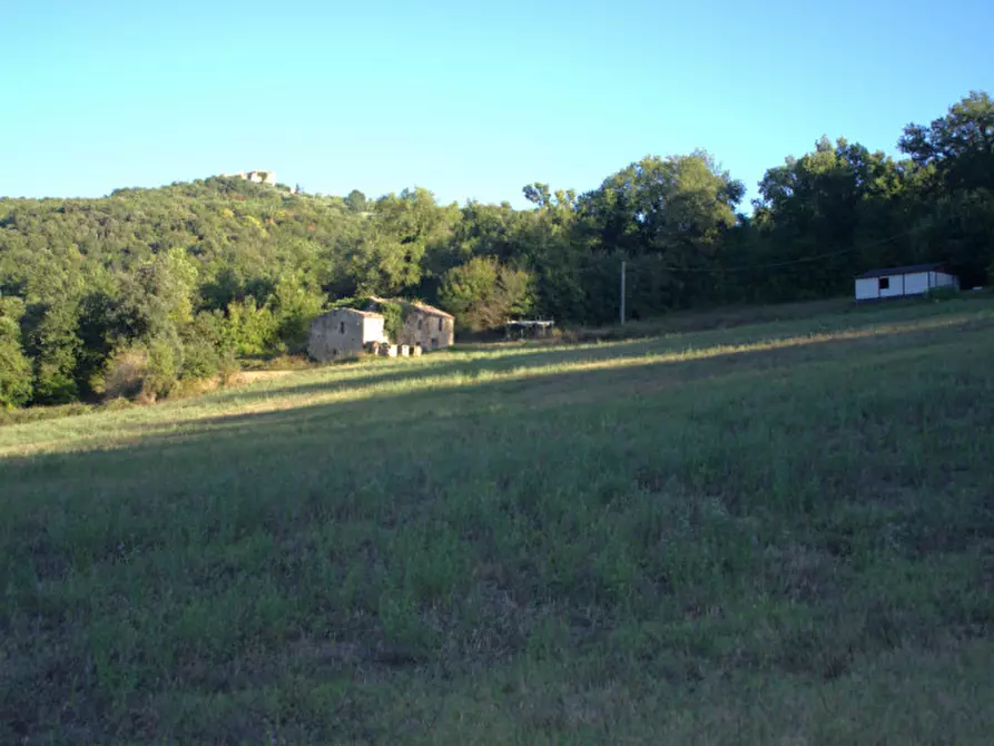 Immagine 3 di Casa indipendente in vendita  a Collazzone