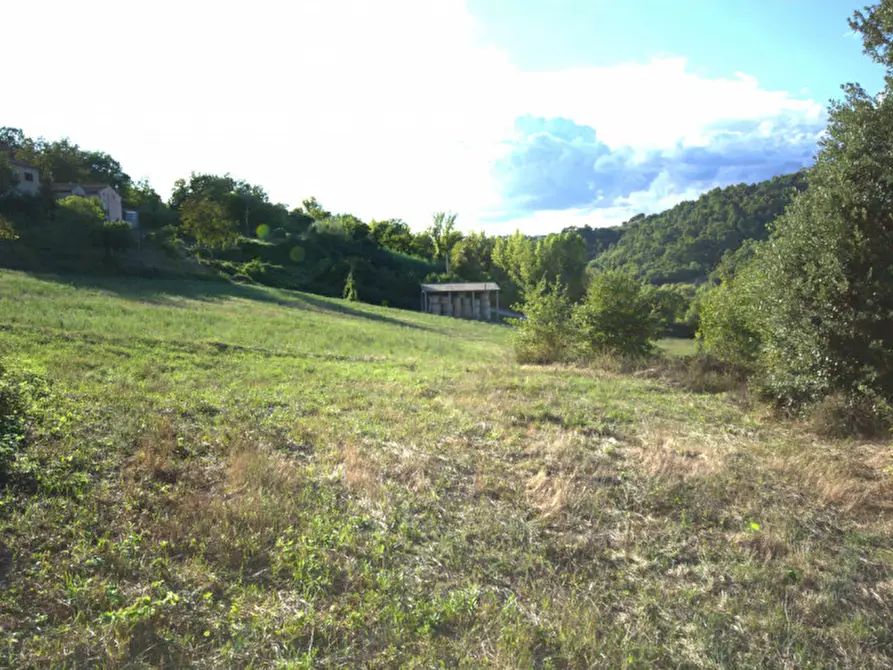 Immagine 4 di Casa indipendente in vendita  a Collazzone