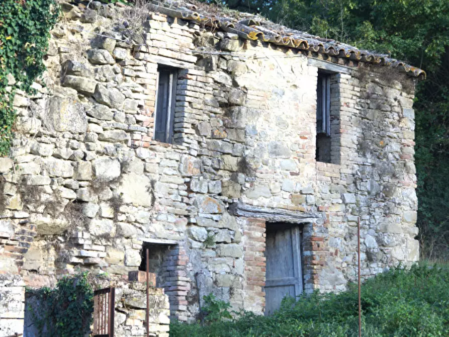 Immagine 5 di Casa indipendente in vendita  a Collazzone