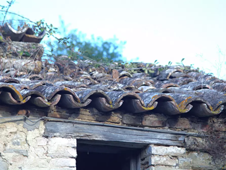 Immagine 6 di Casa indipendente in vendita  a Collazzone