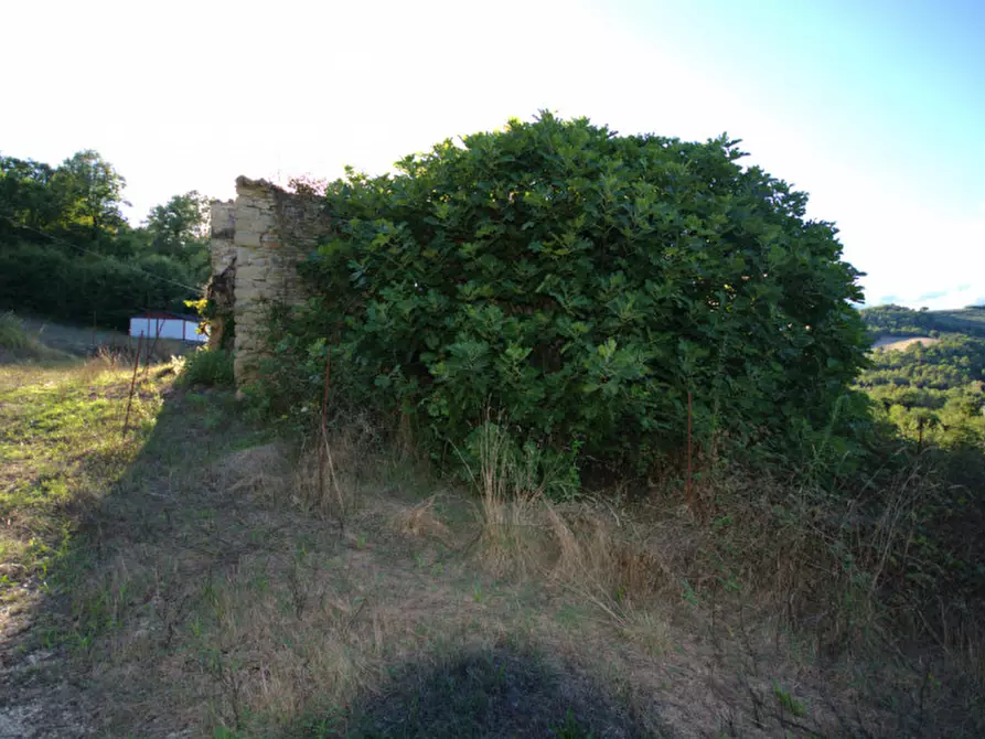 Immagine 11 di Casa indipendente in vendita  a Collazzone