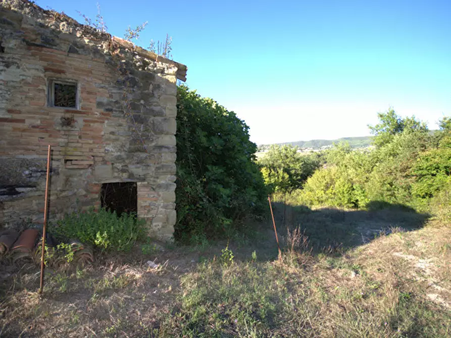 Immagine 13 di Casa indipendente in vendita  a Collazzone