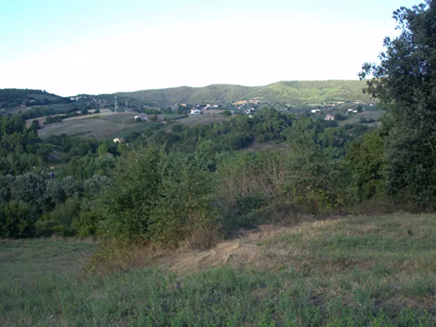 Immagine 16 di Casa indipendente in vendita  a Collazzone