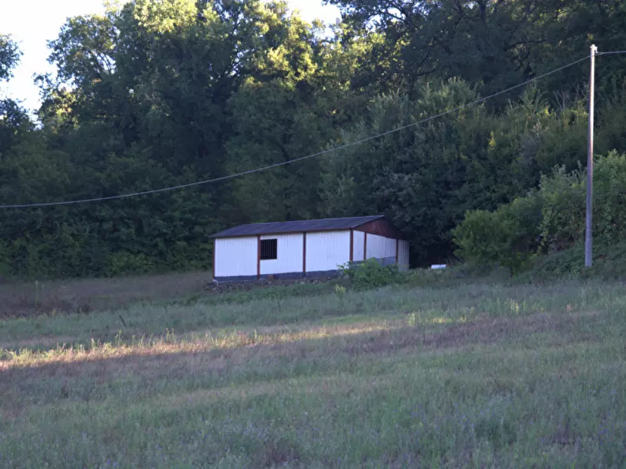 Immagine 17 di Casa indipendente in vendita  a Collazzone