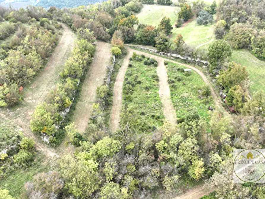 Immagine 2 di Terreno in vendita  in via giacomuzzi a Villaga