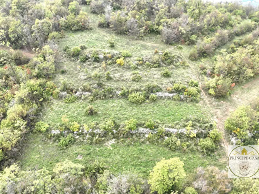 Immagine 4 di Terreno in vendita  in via giacomuzzi a Villaga