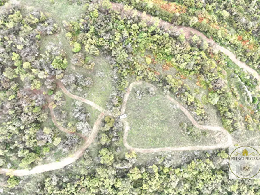 Immagine 7 di Terreno in vendita  in via giacomuzzi a Villaga