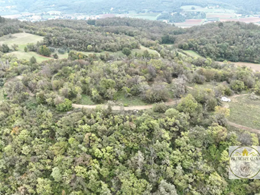 Immagine 8 di Terreno in vendita  in via giacomuzzi a Villaga