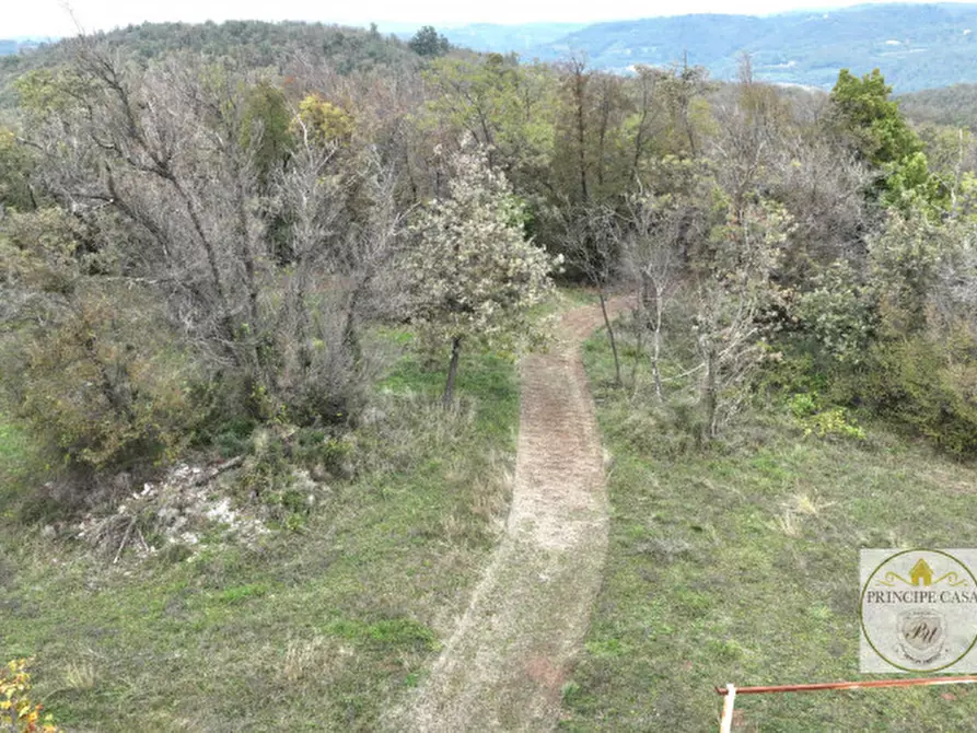 Immagine 11 di Terreno in vendita  in via giacomuzzi a Villaga