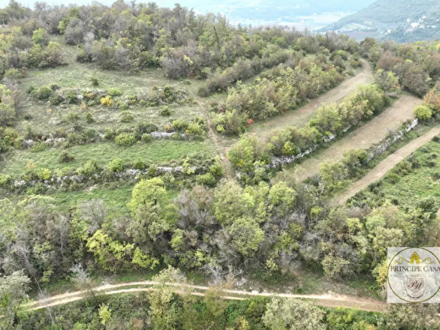 Immagine 12 di Terreno in vendita  in via giacomuzzi a Villaga