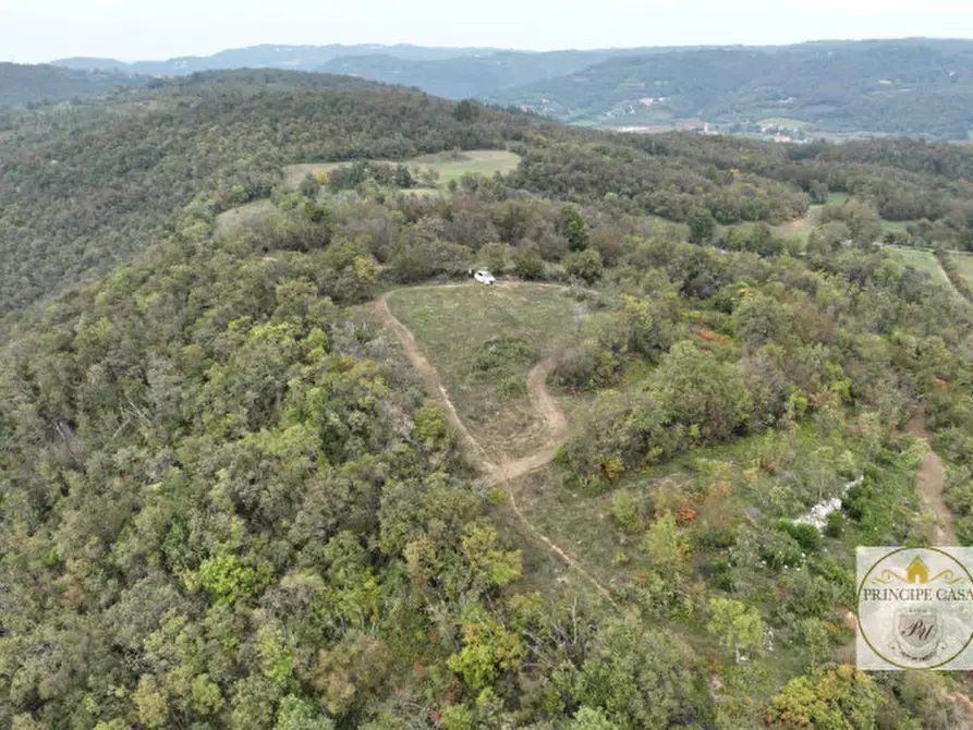 Immagine 13 di Terreno in vendita  in via giacomuzzi a Villaga
