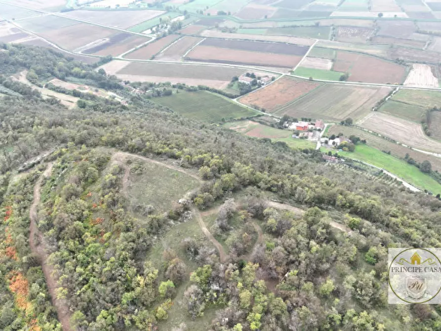 Immagine 15 di Terreno in vendita  in via giacomuzzi a Villaga