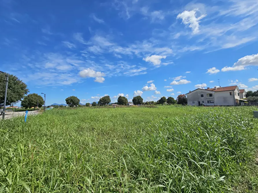 Immagine 5 di Terreno in vendita  in via san Luigi Orione a Borgo Veneto