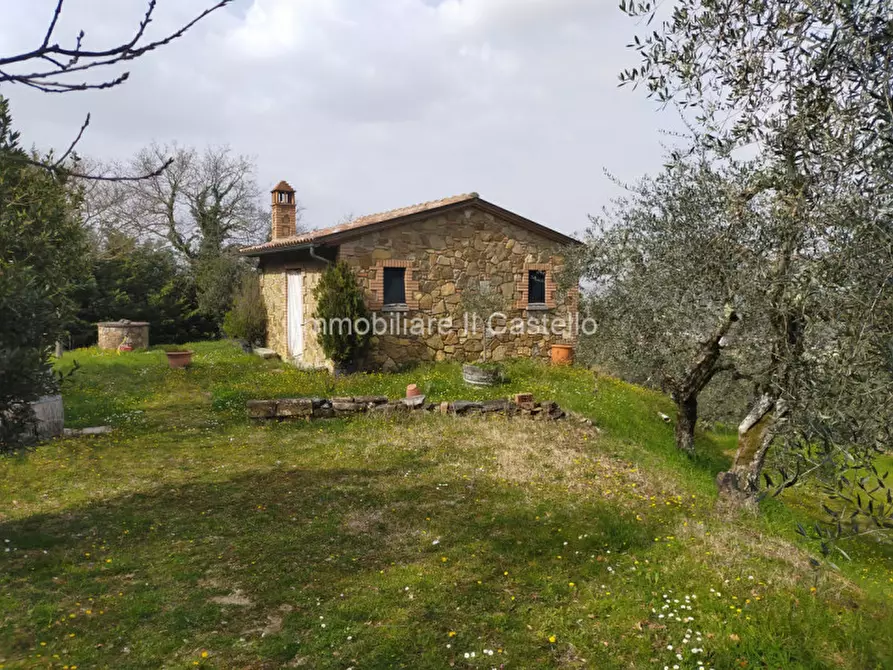 Immagine 1 di Rustico / casale in vendita  in Via dei Colli a Sinalunga