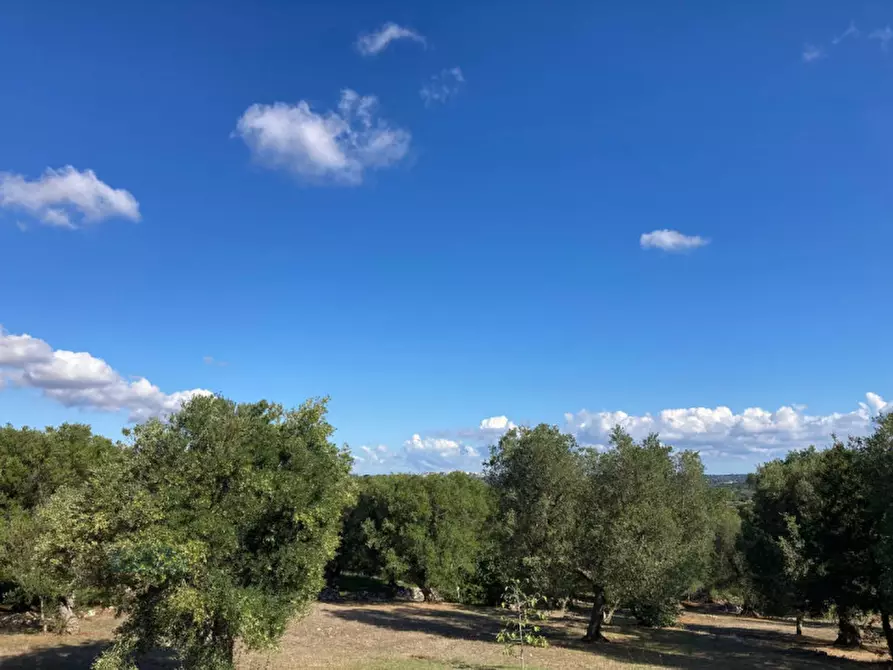 Immagine 17 di Attico in vendita  in Contrada Spasimato a Ceglie Messapico