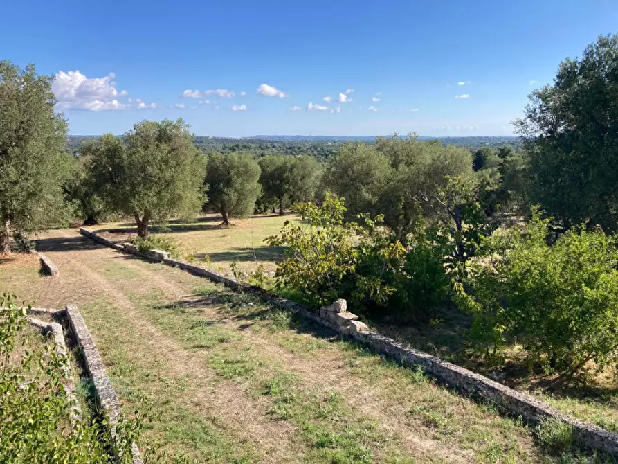 Immagine 18 di Attico in vendita  in Contrada Spasimato a Ceglie Messapico