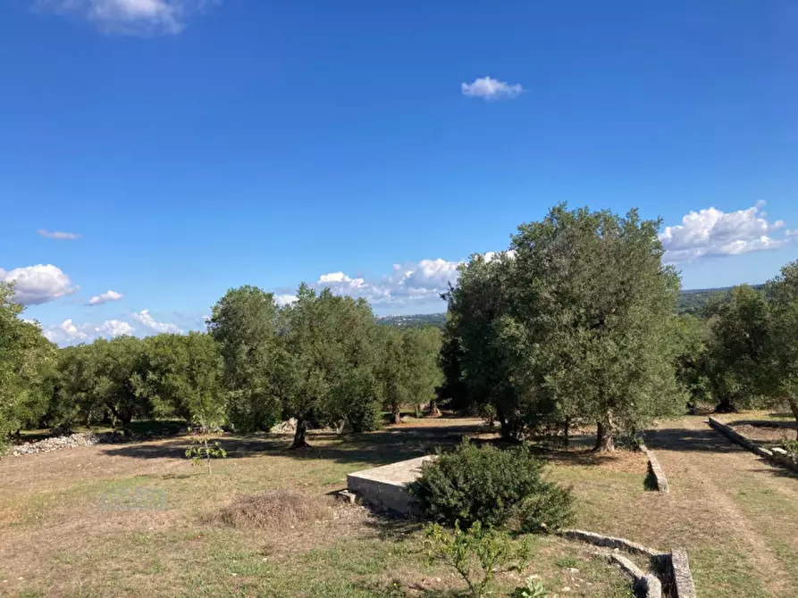 Immagine 20 di Attico in vendita  in Contrada Spasimato a Ceglie Messapico
