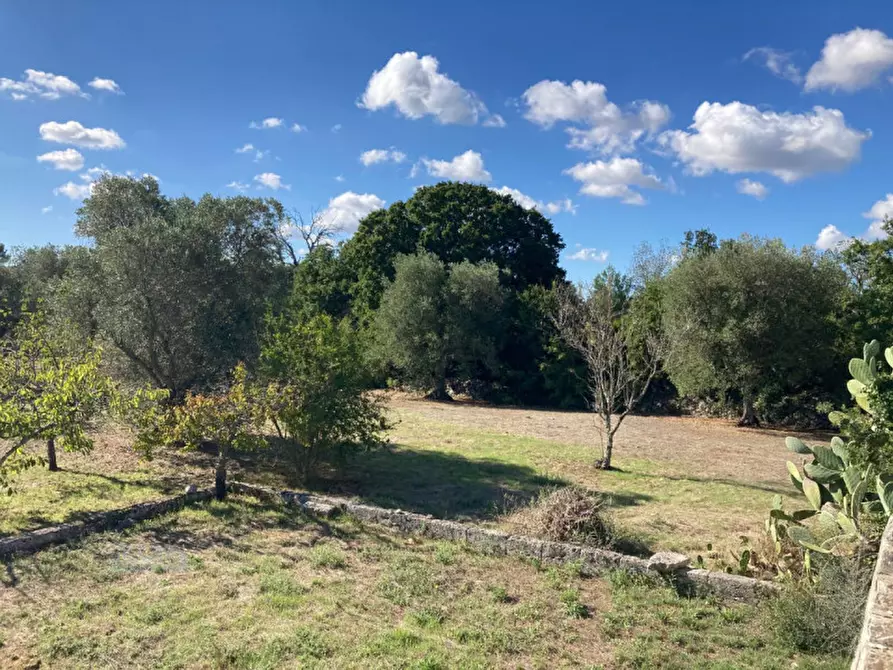 Immagine 21 di Attico in vendita  in Contrada Spasimato a Ceglie Messapico